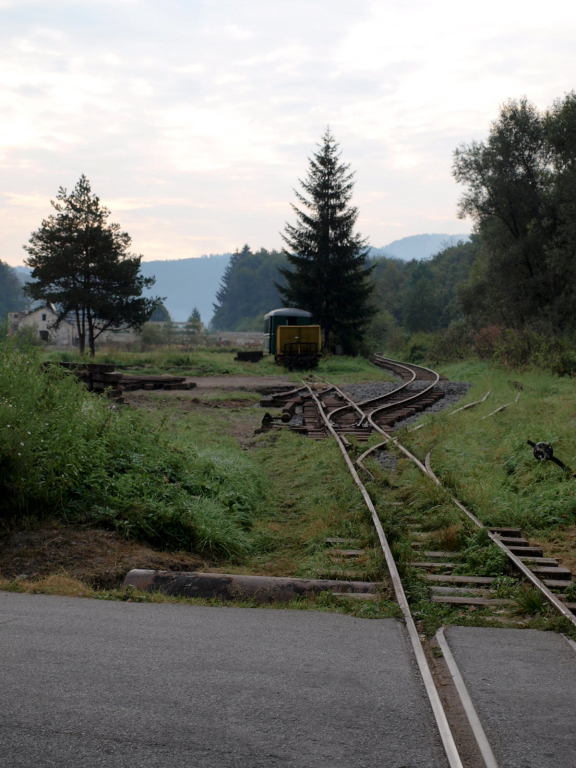 P9177761