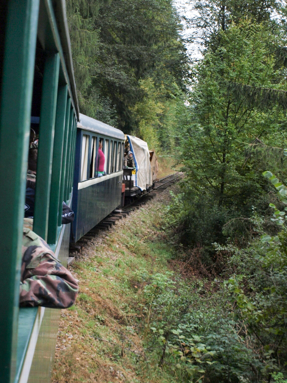 P9177829