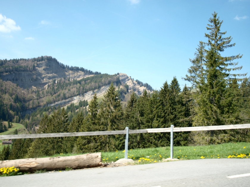P4236548
